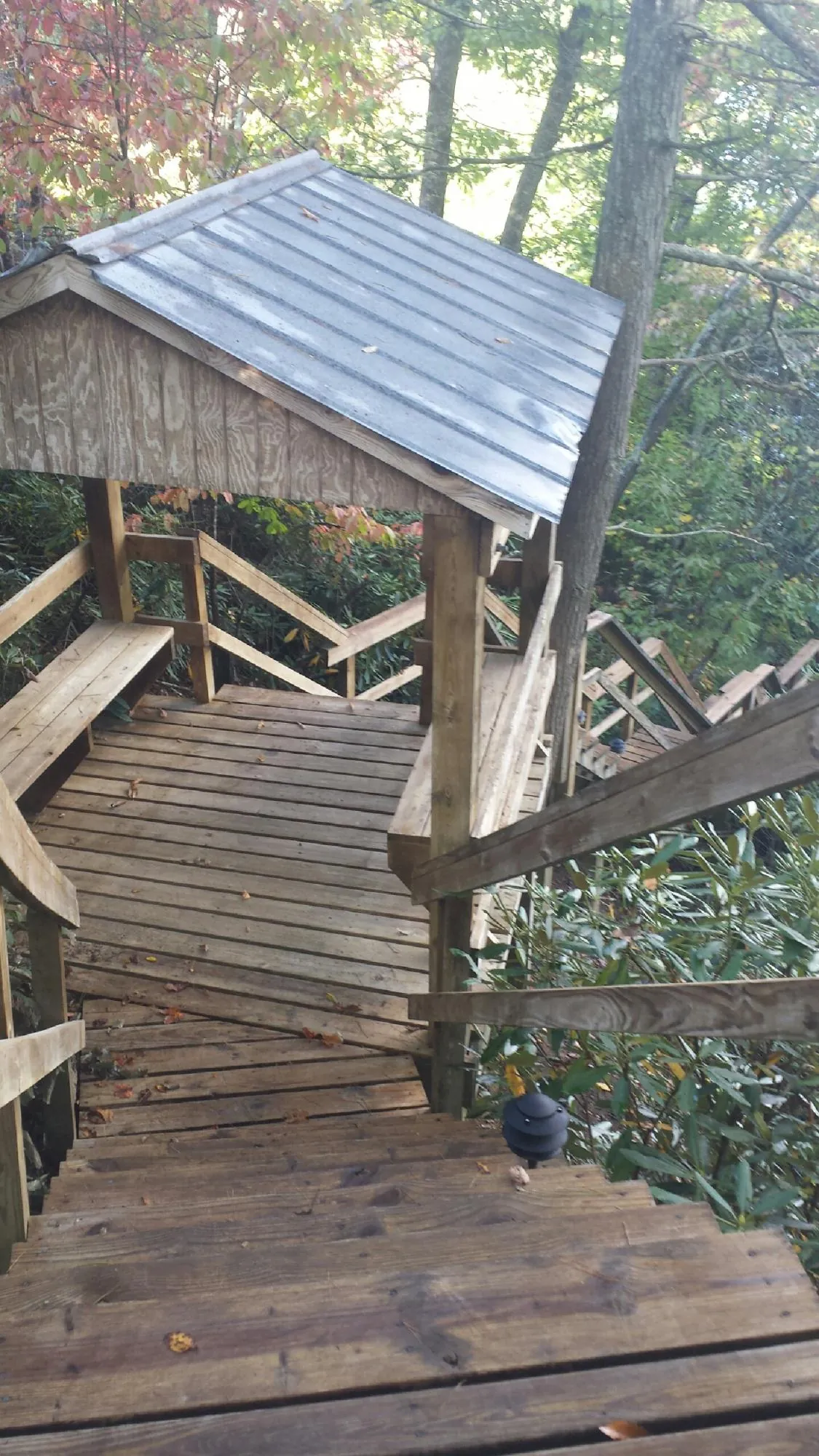 Metal roofed shelter over wooden steps on a wooded walkway — Skylight Repair & Installation work by our crew in Boca Grande